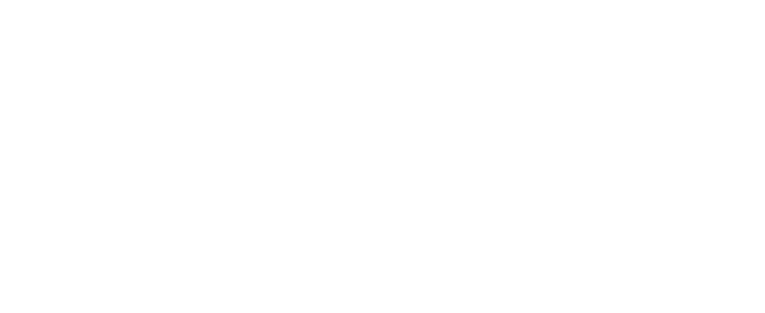 partners