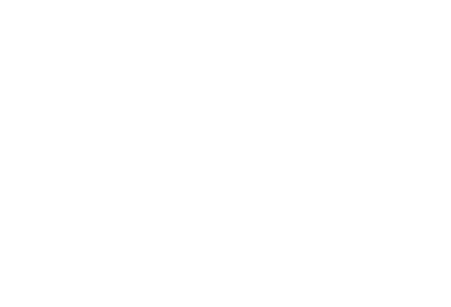 partners