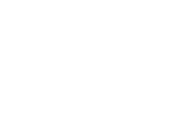 partners