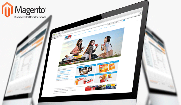 Magento : Ecommerce Website Development