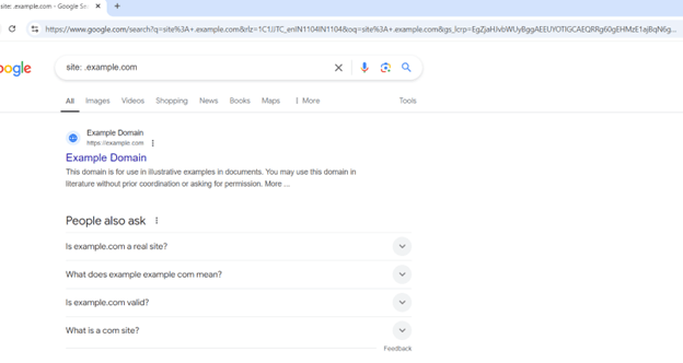 site: .example.com