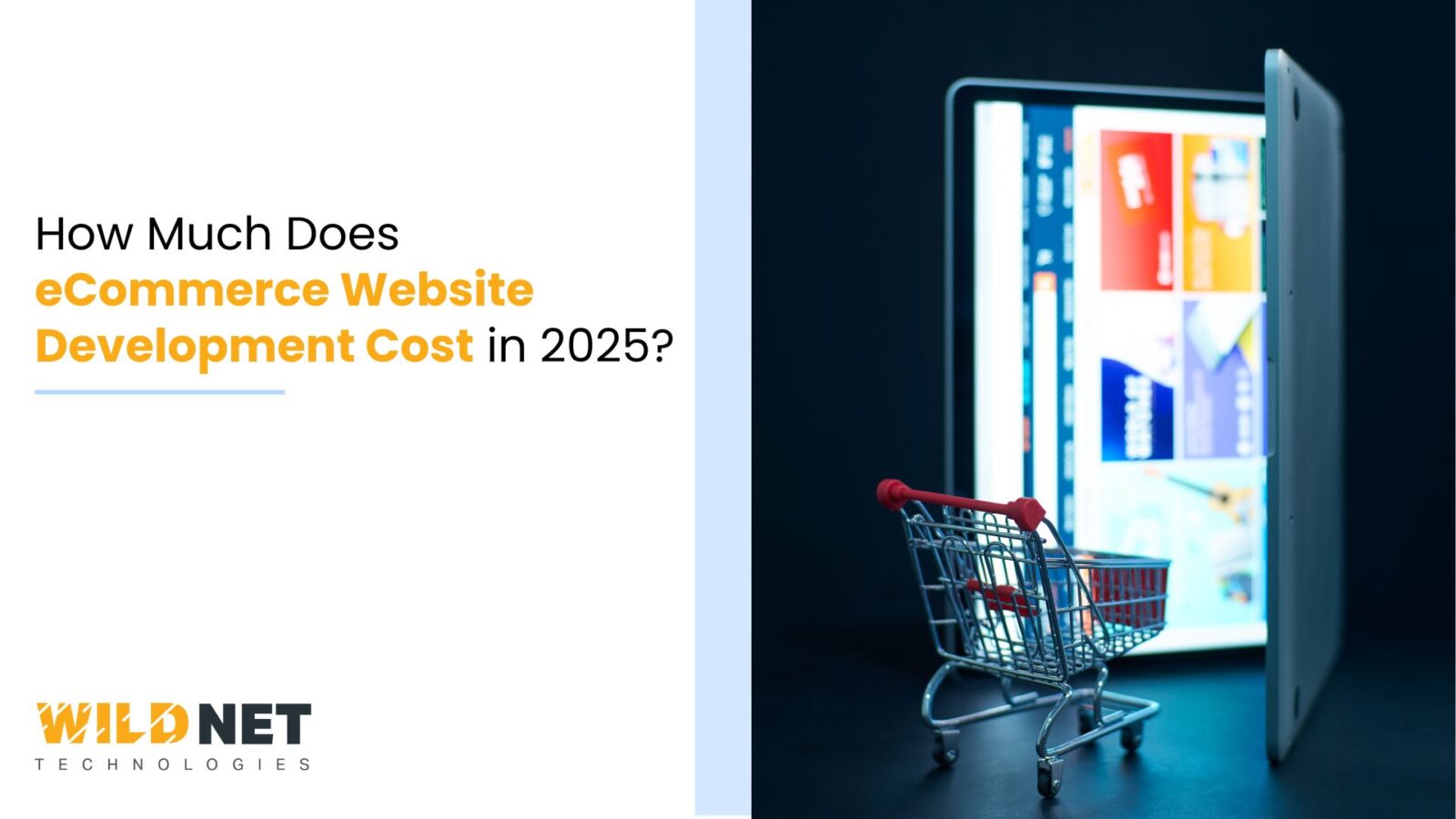 How Much Does eCommerce Website Development Cost in 2025?