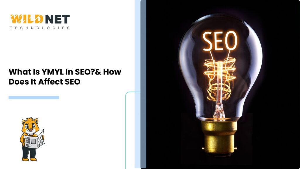 What Is YMYL In SEO?& How Does It Affect SEO