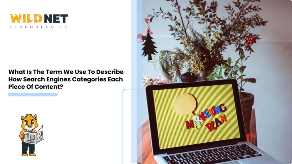 What Is The Term We Use To Describe How Search Engines Categorise Each Piece Of Content?