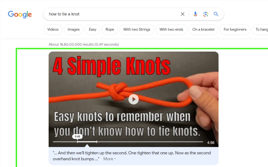 Video Snippet Example