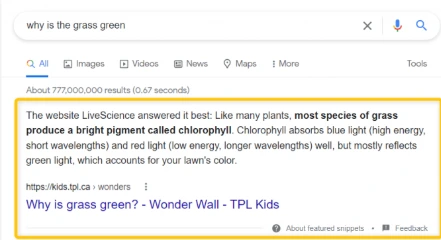 Screenshot showing example of featured snippet.