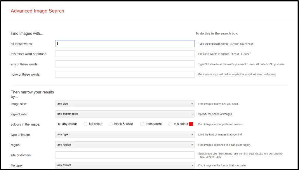 Image 1.1. Screenshot of Google Advanced Image Search dashboard