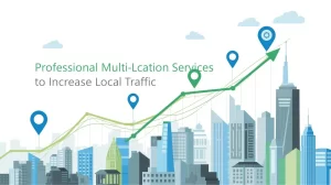Professional Multi-Location SEO Services to Increase Local Traffic
