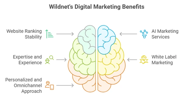 Wildnet’s Digital Marketing 5 Marvels