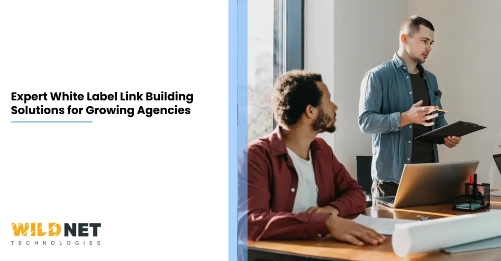 Expert White Label Link Building Solutions for Growing Agencies