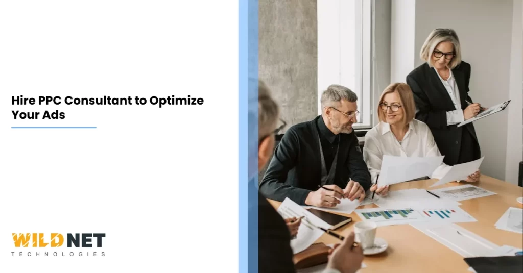 Hire PPC Consultant to Optimize Your Ads