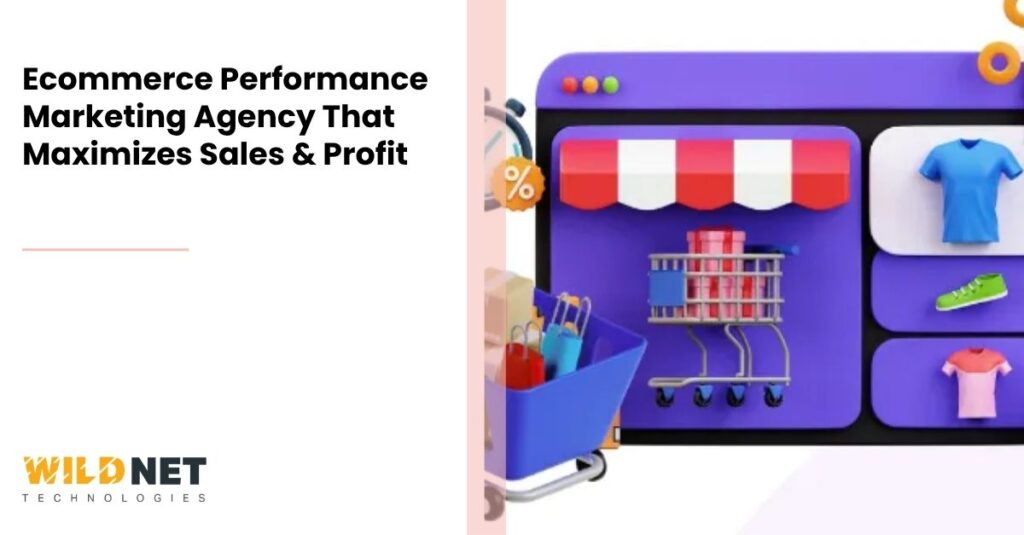 Ecommerce Performance Marketing Agency That Maximizes Sales & Profit