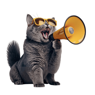 rocket cat